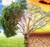 Giáo án Sinh hoạt dưới cờ lớp 12 Chung tay gìn giữ, bảo tồn bảo tồn cảnh quan thiên nhiên tuần 24