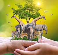 Giáo án Sinh hoạt dưới cờ lớp 12 Bảo vệ thế giới tự nhiên tuần 26