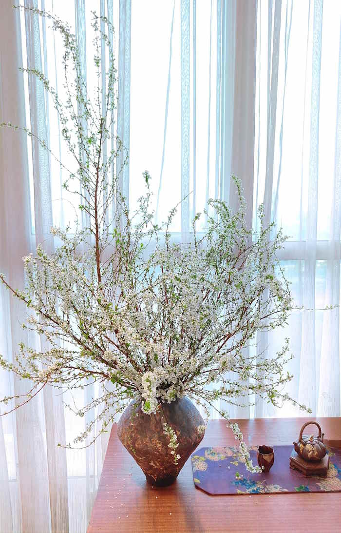 Cắm hoa tuyết mai trong bình gốm dáng bầu tán xòe tự nhiên