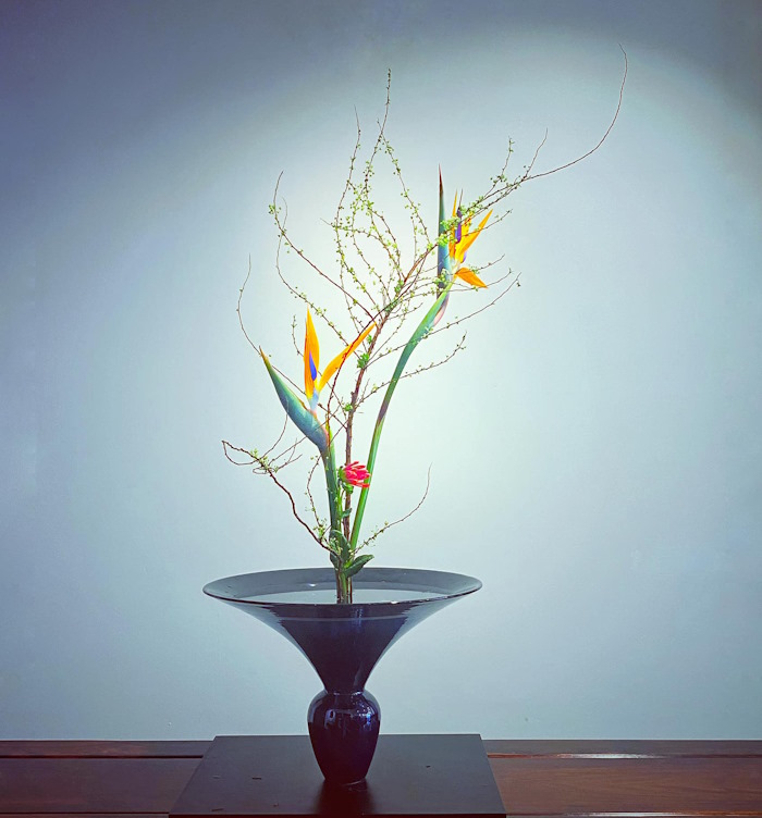 Cắm hoa tuyết mai kiểu nghệ thuật Ikebana