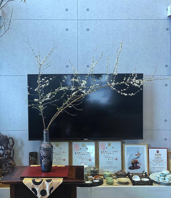 Cách cắm hoa tuyết mai dáng thác đổ