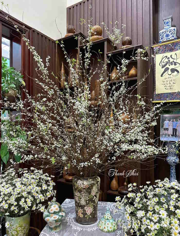 Cắm hoa tuyết mai trong bình gốm hoa văn