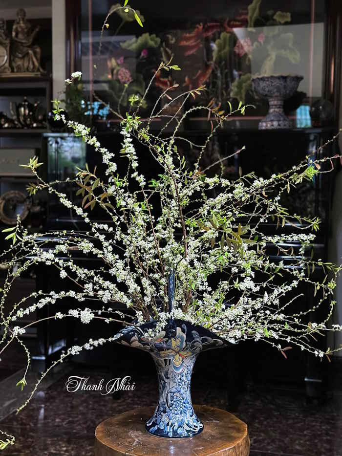 Cắm hoa tuyết mai trong bình gốm dáng đuôi công