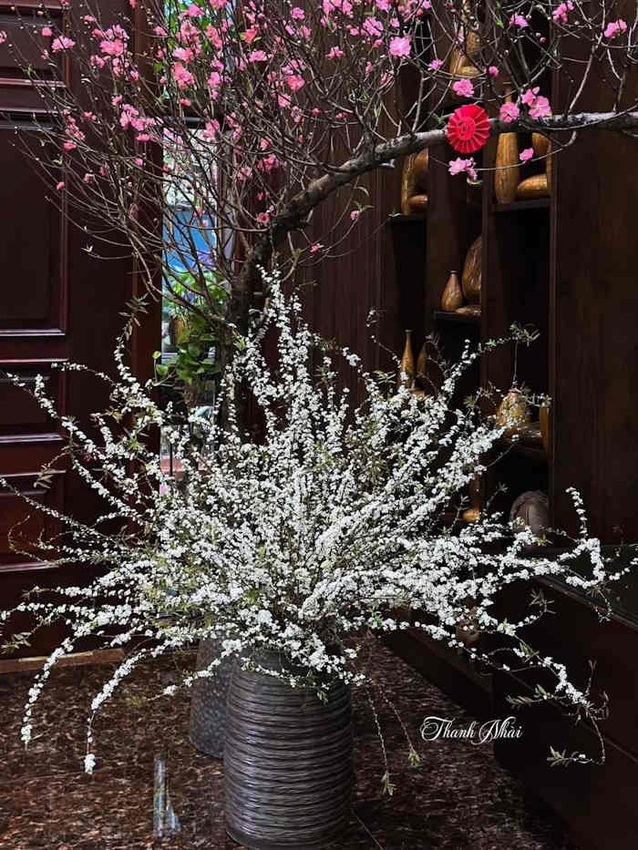 Cắm hoa tuyết mai trong bình gốm thấp để bàn