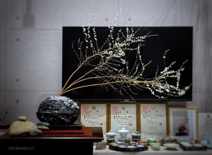 cắm hoa tuyết mai nghệ thuật dáng thác đổ