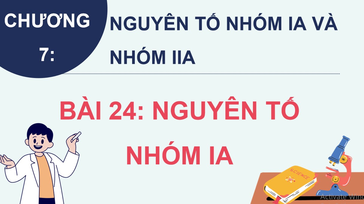 hoa 12 kntt b24 2*529349