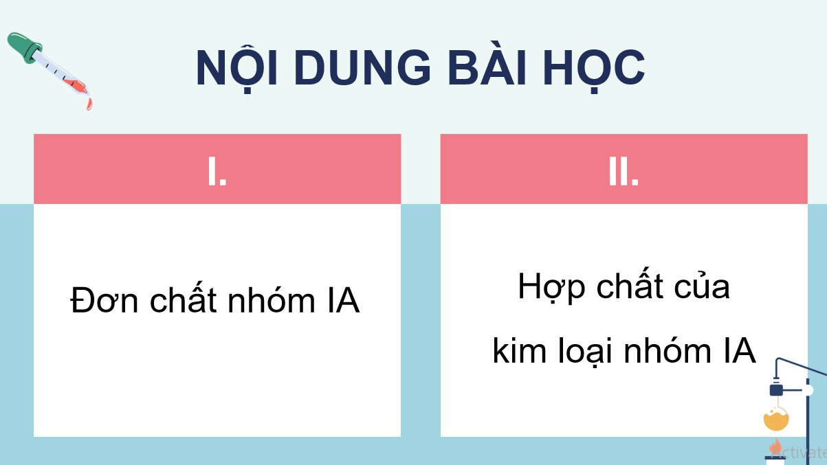 hoa 12 kntt b24 3*529351