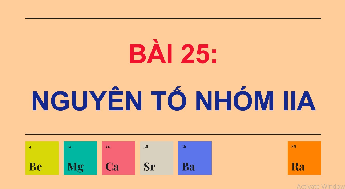 hoa 12 kntt b25 2*529359