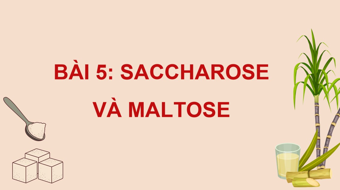 ppt hoa 12 kntt b5 2*529715