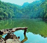 Giáo án Sinh hoạt lớp 12 Chung tay gìn giữ, bảo tồn bảo tồn cảnh quan thiên nhiên tuần 23