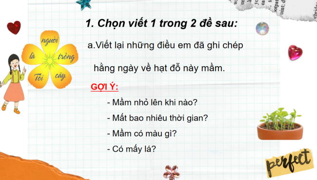 PowerPoint Tiếng Việt 2 Bài 22: Hạt đỗ nảy mầm