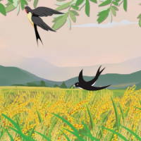 PowerPoint Tiếng Việt 2 Bài 23: Chim én