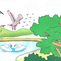 PowerPoint Tiếng Việt 2 Bài 23: Chim rừng Tây Nguyên