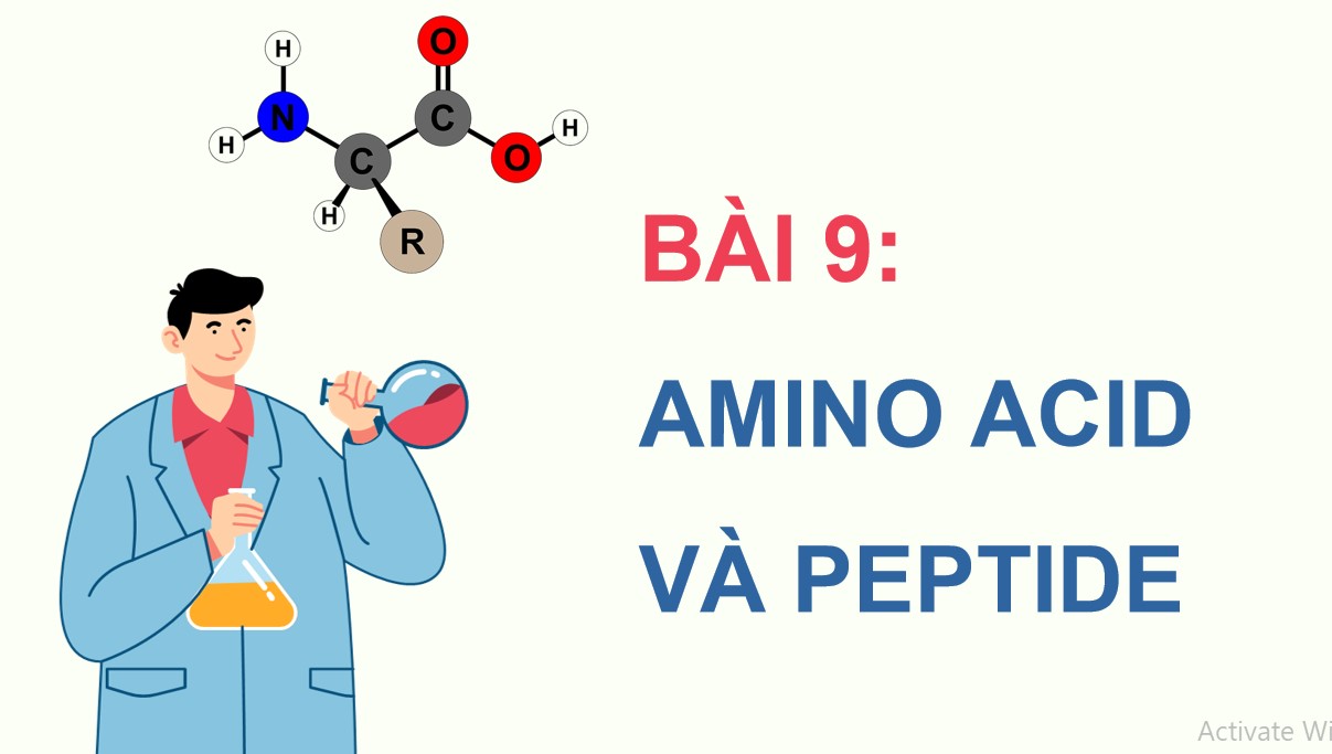 ppt hoa 12 kntt b9 2*530186