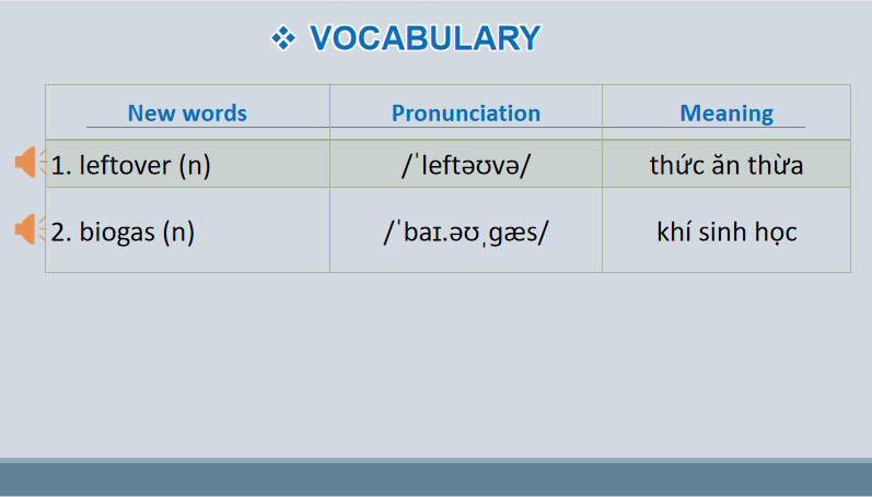Giáo án Tiếng Anh 9 Unit 2 Skills 1