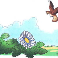 PowerPoint Tiếng Việt 2 Bài 24: Chim sơn ca và bông cúc trắng