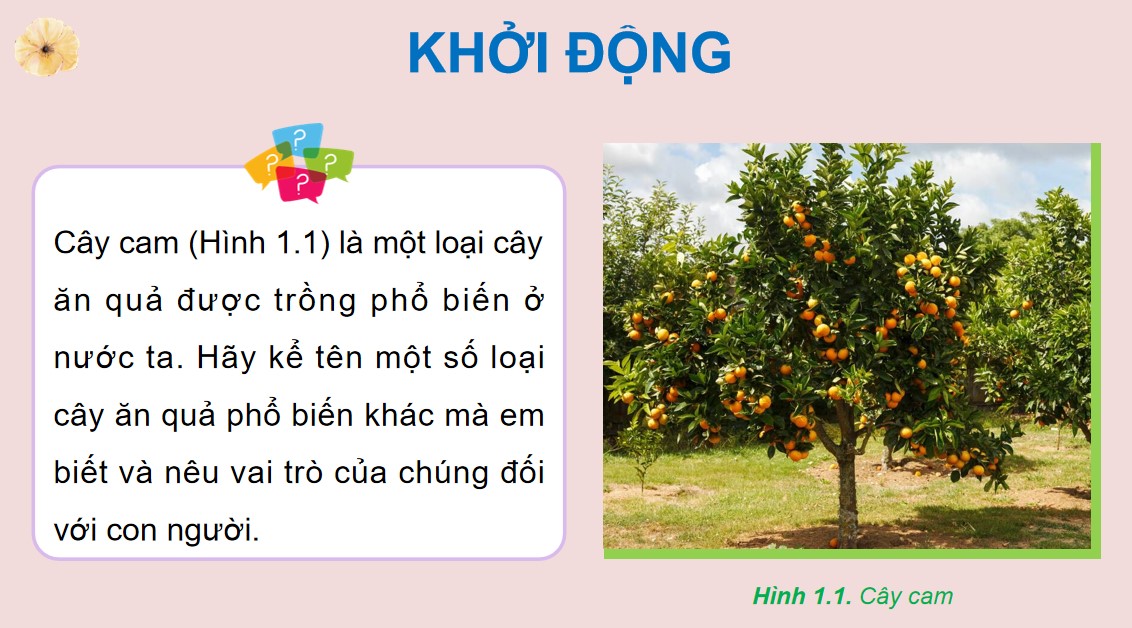 ppt cn 9 b1 1*530640