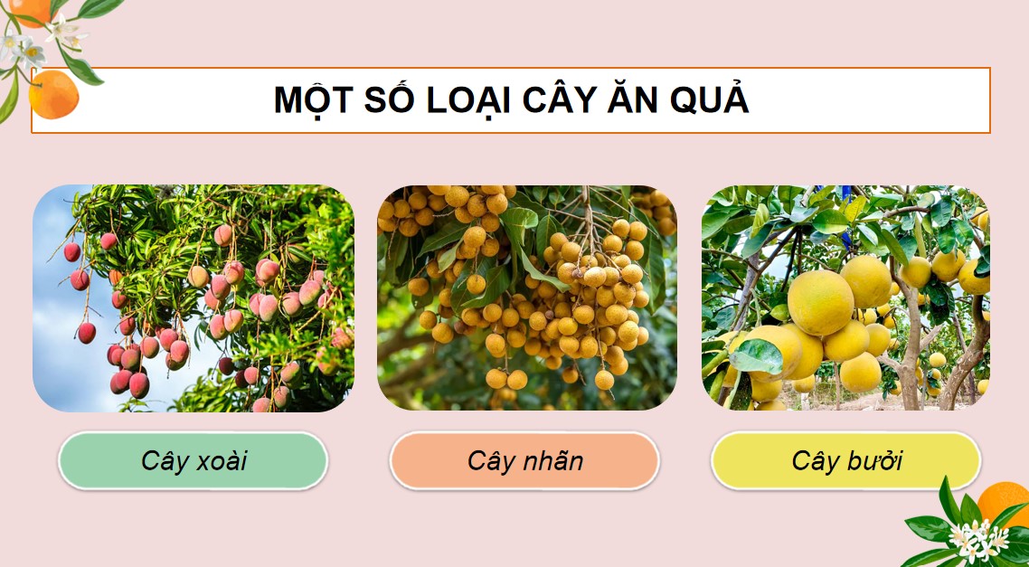 ppt cn 9 b1 2*530639