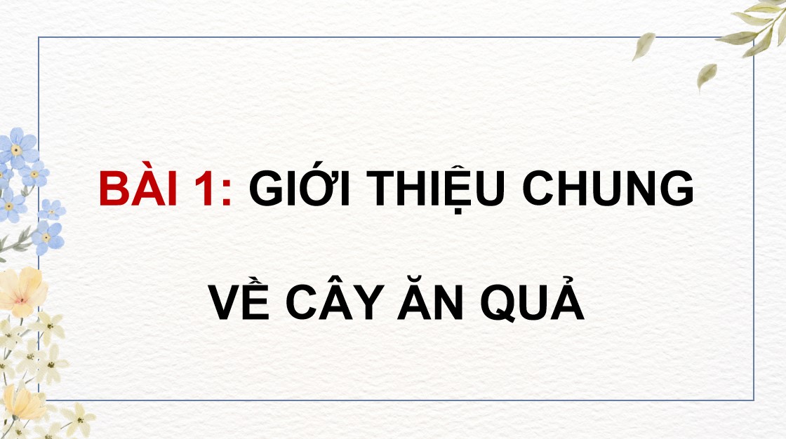 ppt cn 9 b1 3*530638