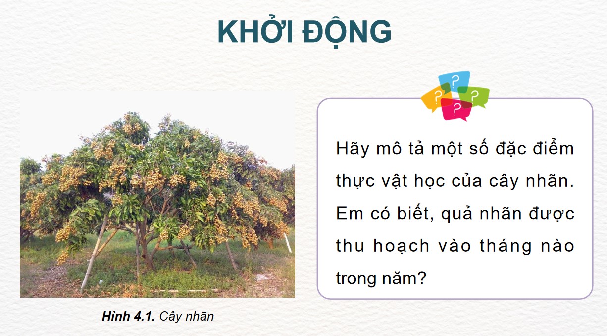 ppt cong nghe 9 tcaq bai4 1*530926