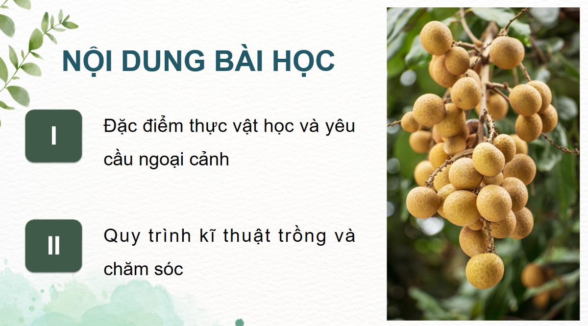ppt cong nghe 9 tcaq bai4 3*530925