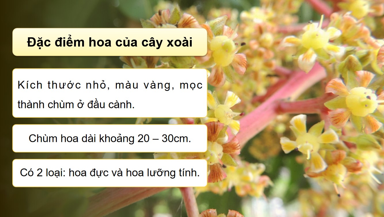 ppt cong nghe 9 tcaq bai5 2*530938