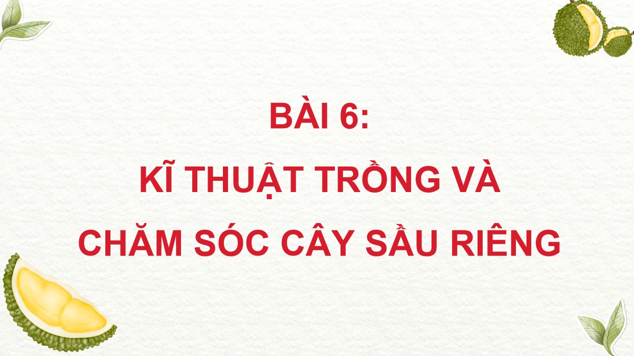 ppt cong nghe 9 tcaq bai6 3*530946