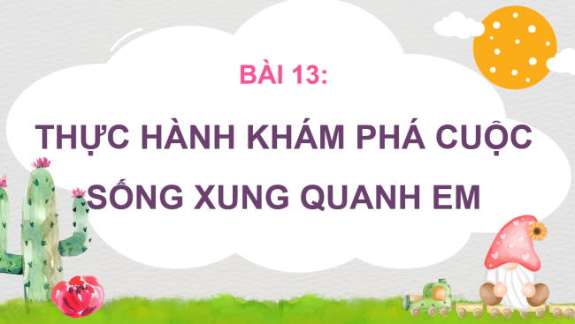PowerPoint Tự nhiên và xã hội 3 Bài 13: Thực hành Khám phá cuộc sống xung quanh em