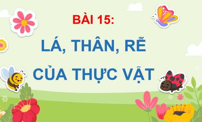 PowerPoint Tự nhiên và xã hội 3 Bài 15: Lá, thân, rễ của thực vật