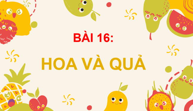 PowerPoint Tự nhiên và xã hội 3 Bài 16: Hoa và quả