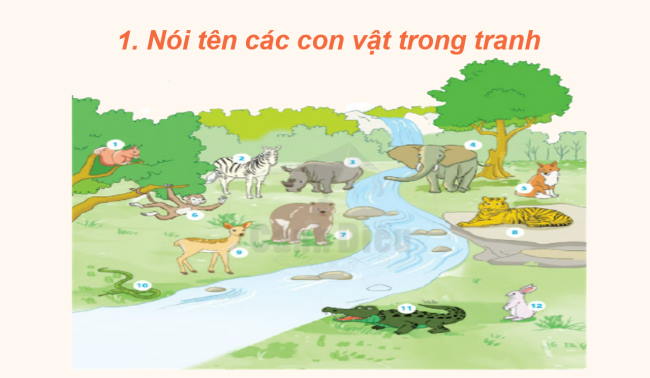 PowerPoint Tiếng Việt 2 Bài 25: Sư tử xuất quân