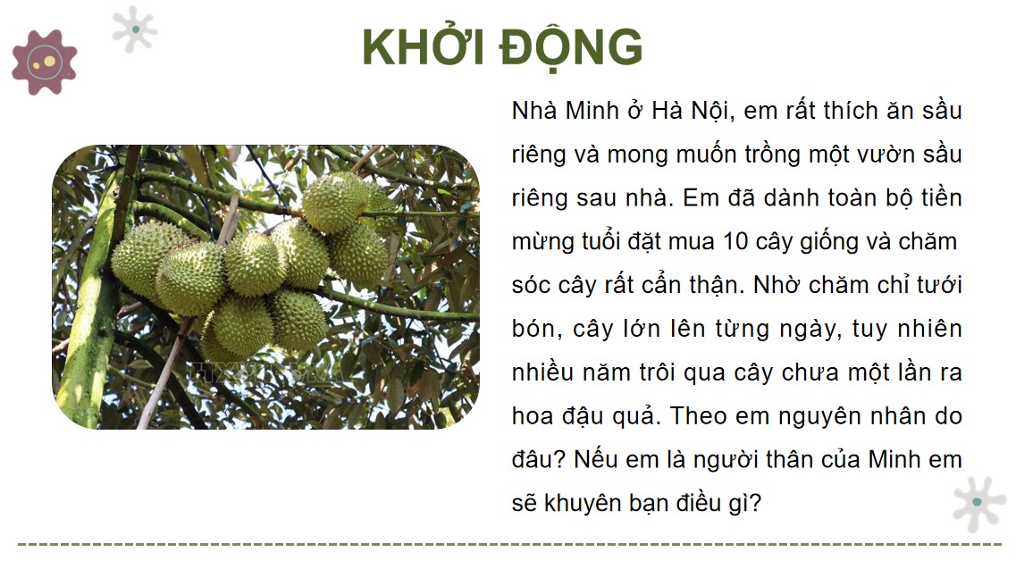 ppt cong nghe 9 tcaq b8 1*531225