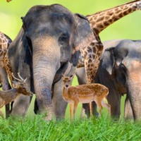 PowerPoint Tiếng Việt 2 Bài 26: Nội quy vườn thú