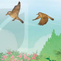 PowerPoint Tiếng Việt 2 Bài 3: Họa mi hót