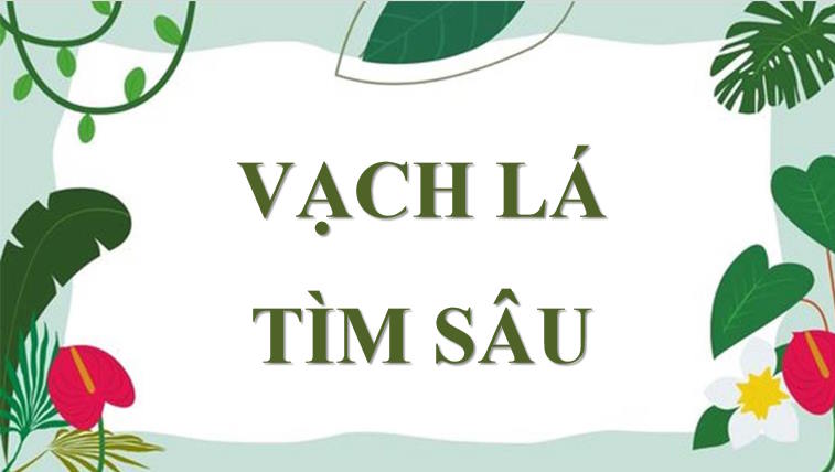 Toán 7: Làm quen với biến cố 