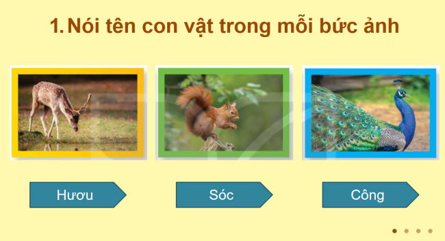 PowerPoint Tiếng Việt 2 Bài 10: Viết đoạn văn giới thiệu tranh ảnh về một con vật. Đọc mở rộng