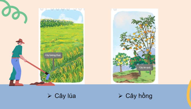 PowerPoint Tiếng Việt 2 Bài 6: Mở rộng vốn từ về cây cối