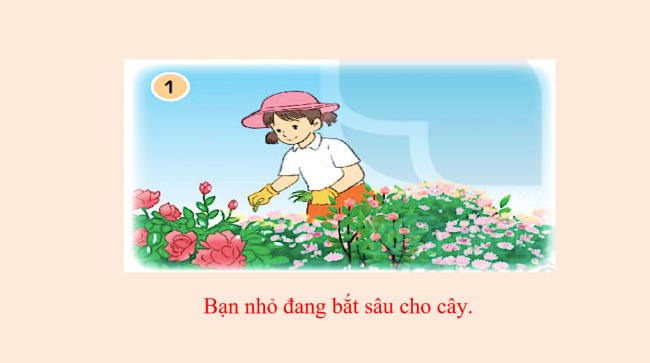 PowerPoint Tiếng Việt 2 Bài 6: Viết đoạn văn kể về việc chăm sóc cây cối. Đọc mở rộng