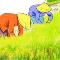 PowerPoint Tiếng Việt 2 Bài 7: Hạt thóc