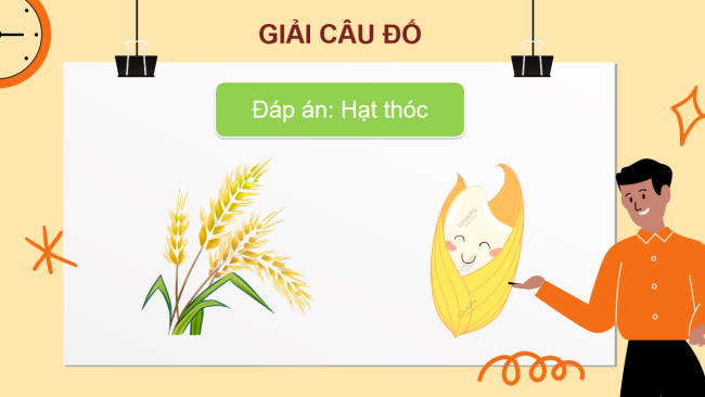 PowerPoint Tiếng Việt 2 Bài 7: Hạt thóc