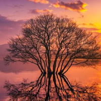 PowerPoint Tiếng Việt 2 Bài 8: Mở rộng vốn từ về thiên nhiên. Câu nêu đặc điểm