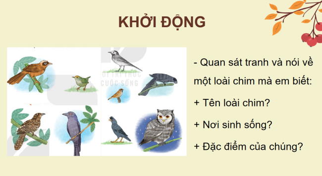 PowerPoint Tiếng Việt 2 Bài 9: Vè chim