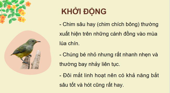 PowerPoint Tiếng Việt 2 Bài 9: Vè chim