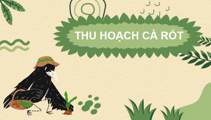Trò chơi khởi động Toán 7 Bài 8 Tập hợp các số hữu tỉ