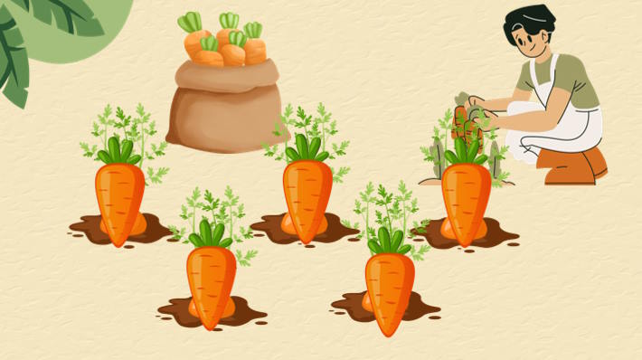 Trò chơi khởi động Toán 7 Bài 8 Tập hợp các số hữu tỉ