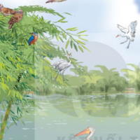 PowerPoint Tiếng Việt 2 Bài 12: Bờ tre đón khách