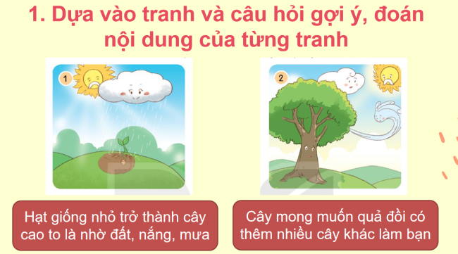 PowerPoint Tiếng Việt 2 Bài 13: Kể chuyện Hạt giống nhỏ