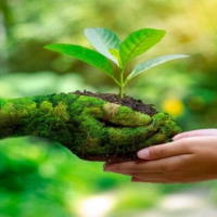 PowerPoint Tiếng Việt 2 Bài 14: Mở rộng vốn từ về bảo vệ môi trường. Dấu phẩy