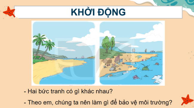 PowerPoint Tiếng Việt 2 Bài 15: Những con sao biển