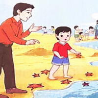 PowerPoint Tiếng Việt 2 Bài 15: Những con sao biển